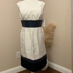 Adrianna Papell women dress